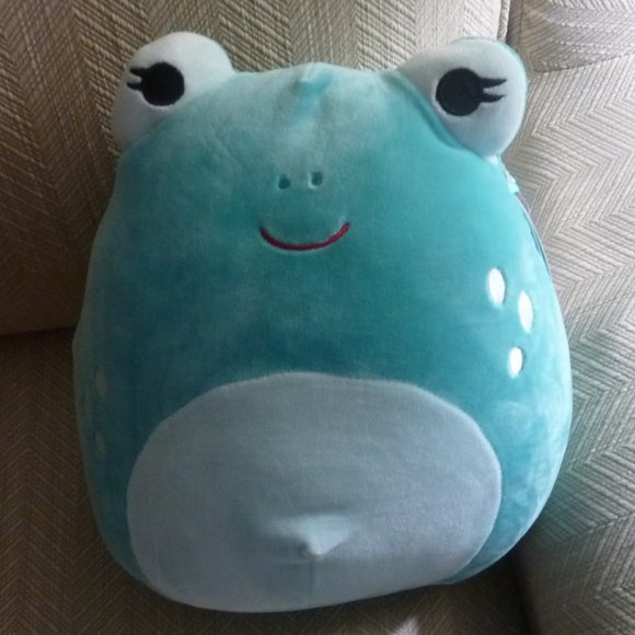 Squishmallow Novi Teal Frog Walgreens Exclusive Adult Owned Stored New Condition - Picture 1 of 2